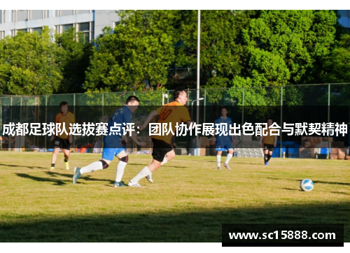 成都足球队选拔赛点评：团队协作展现出色配合与默契精神
