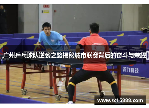 广州乒乓球队逆袭之路揭秘城市联赛背后的奋斗与荣耀